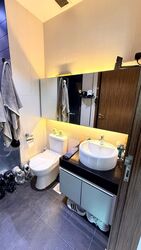 Parc Rosewood (D25), Condominium #486501461